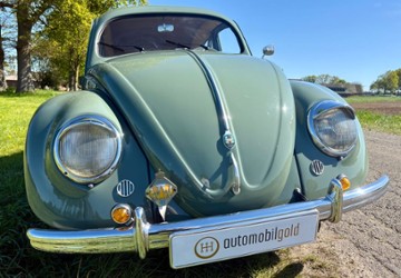 VW Käfer 24.590 km 39.900 &euro; Bocholt 46395