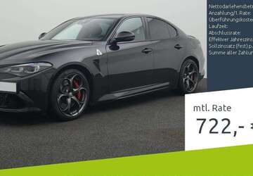 Alfa Romeo Giulia 13.500 km 69.540 &euro; Borken 46325